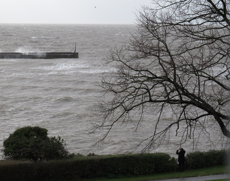 Photograph by artist Guy Pitt of Bernard van Lierop taking pictures from the Parade Gardens, Barry.